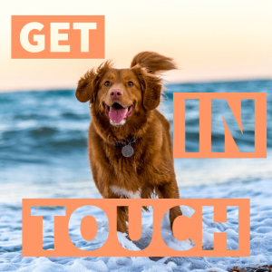 Get in Touch
